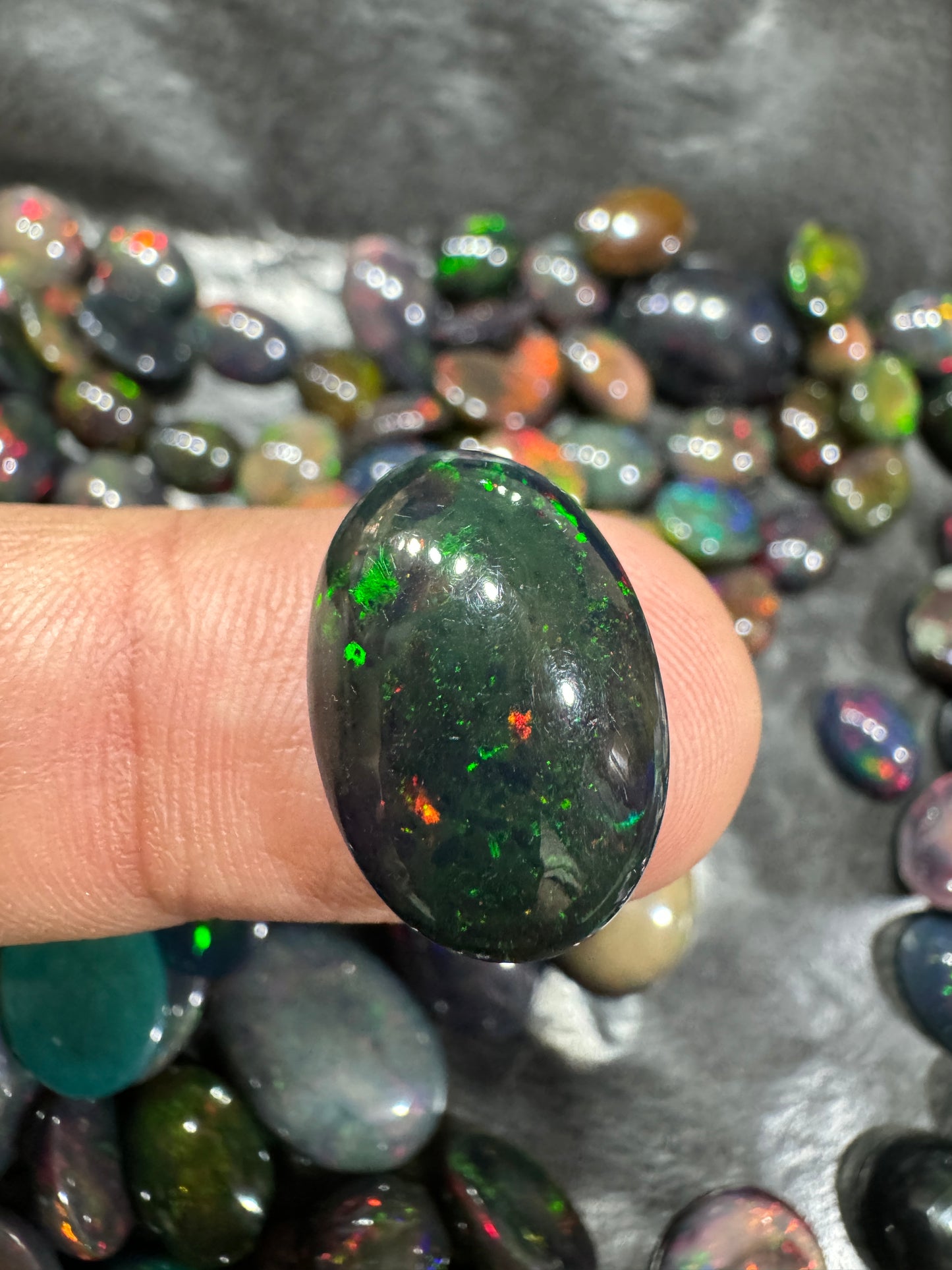 Black Opal Stone BO 014 7.4 Carat