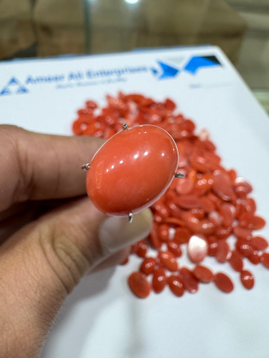 AAE IM 001 4.5 Carat Italian Coral Marjan