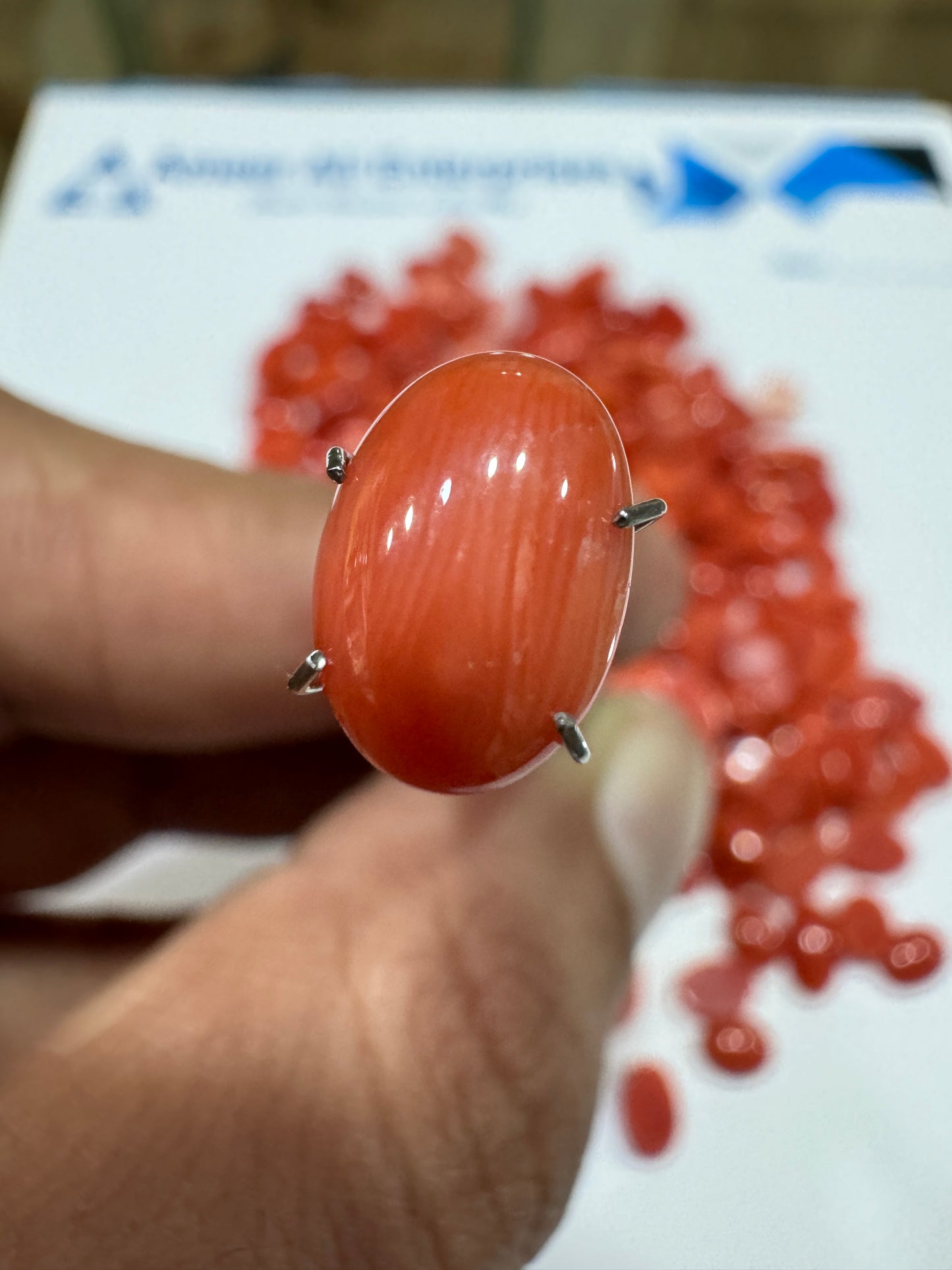 AAE IM 005 2.3 Carat Italian Coral Marjan