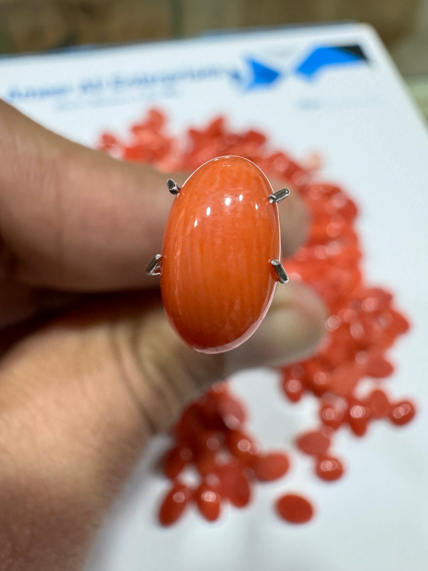 AAE IM 007 2.1 Carat Italian Coral Marjan