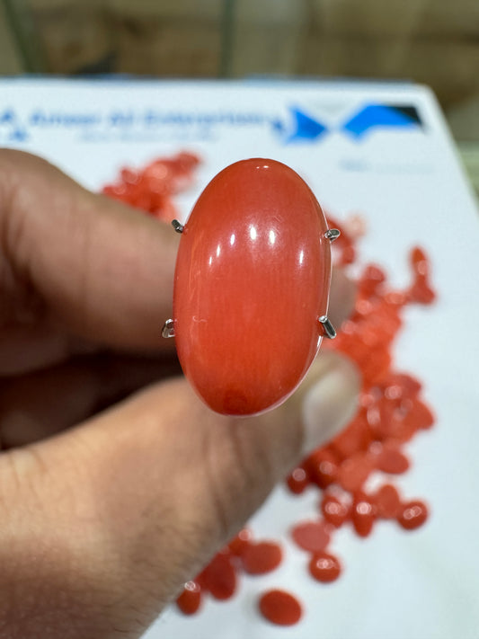 AAE IM 008 4.2 Carat Italian Coral Marjan