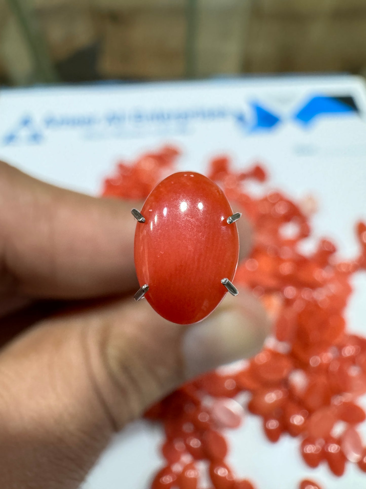 AAE IM 009 1.25 Carat Italian Coral Marjan