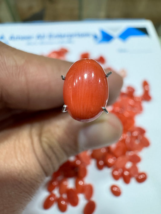 AAE IM 0010 2.3 Carat Italian Coral Marjan