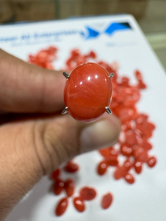 AAE IM 0011 1.75 Carat Italian Coral Marjan