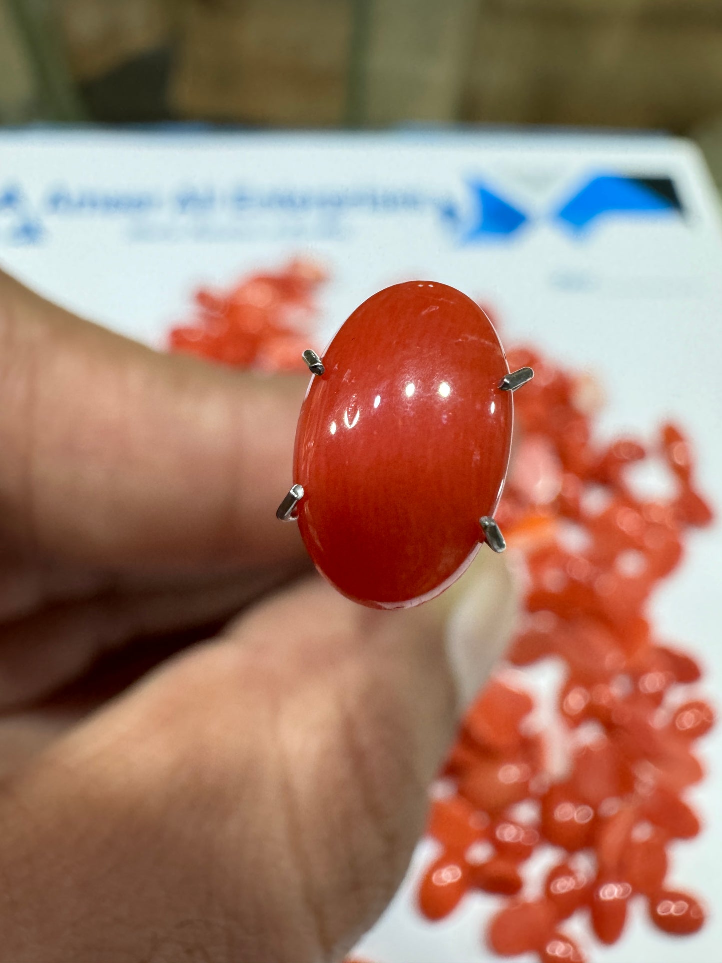 AAE IM 0014 1.7 Carat Italian Coral Marjan